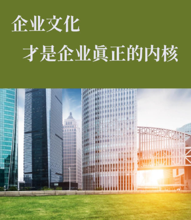 深圳尼莫数据技术有限公司企业数据治理体系建设路径分析